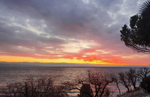 Medveja Bed & Breakfast | House Vali