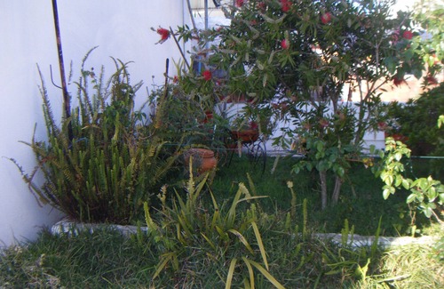 Darque House | House Viana Do Castelo