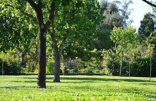 Correlha Villa | House/Villa - PONTE DE LIMA