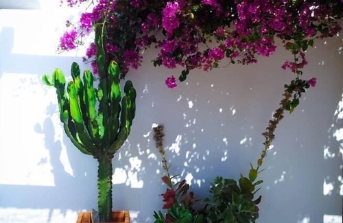 Rodalquilar Cottage | House/Villa - RODALQUILAR