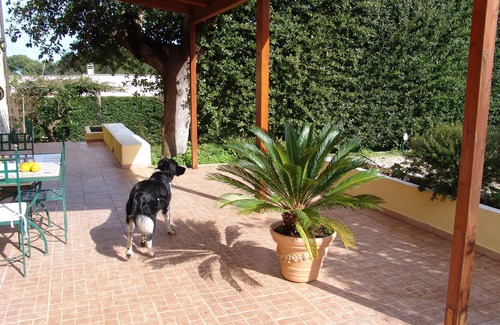 Vico del Gargano House | House/Villa - Rodi garganico