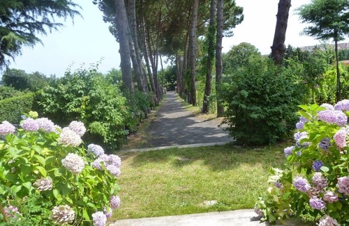 Velletri House | house/villa - Velletri
