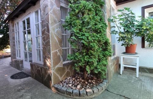 Zatoka House | House with flowers