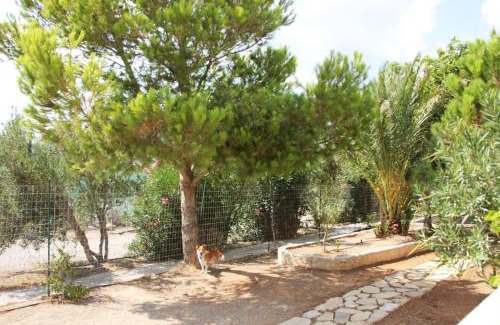 Koutsounari House | House with garden ON beach
