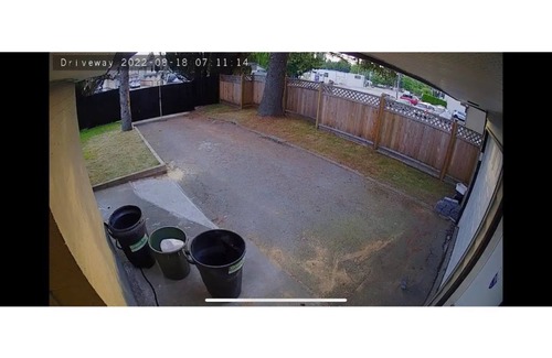 Surrey Apartment | House with Guest Quarters in Delta, Vancouver, BC
