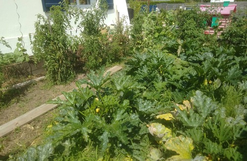 Mouguerre House | House with large garden