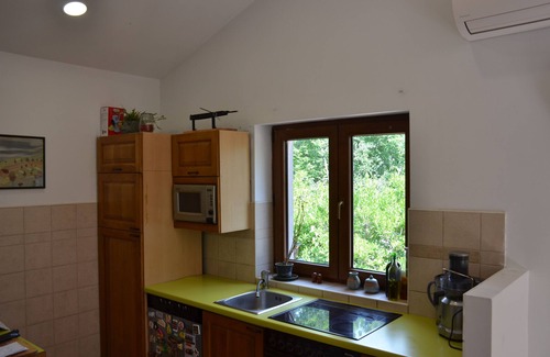 Hrboki House | House with pool secluded in lush greenery ideal for couples/families with pets