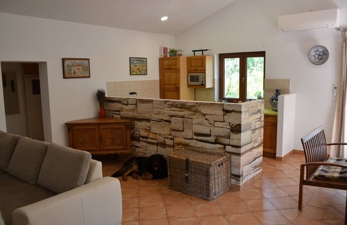 Hrboki House | House with pool secluded in lush greenery ideal for couples/families with pets