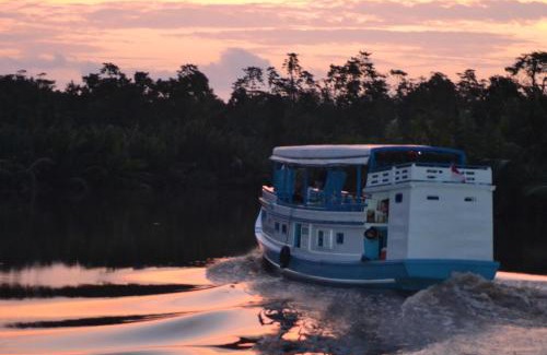 Kumai Boat Rental | houseboat kelotok bee