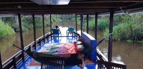 Kumai Boat Rental | houseboat kelotok bee