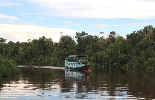 Kumai Boat Rental | houseboat kelotok bee