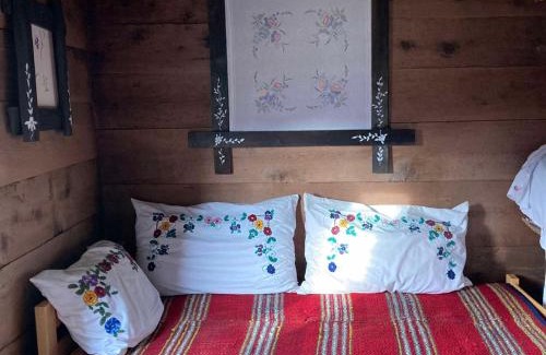 Montenegro Ski Chalet | Household Babovic - Old house Miljan's valley