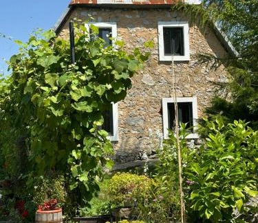 Montenegro House | Household Jakic