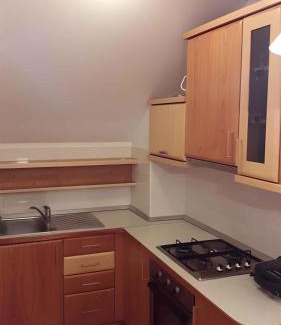 Gorenja Vas pri Smarjeti Apartment | Houses and Apt in Smarjeske Toplice Kranjska Krain 26042