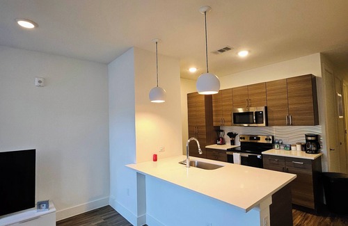 Montrose Apartment | Houston Downtown Cozy Luxury midtown apartment