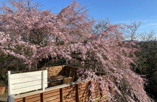 Oyodo Bed & Breakfast | Houtouji Temple