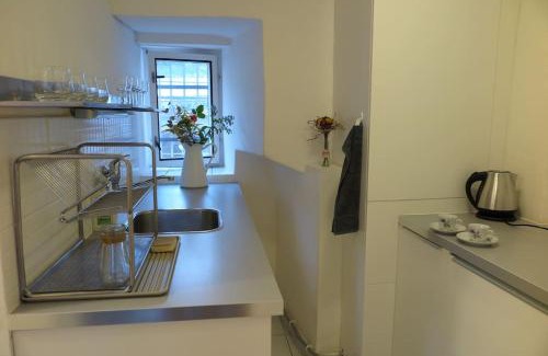 Hradcany Apartment | Hradčany apartment with green energy