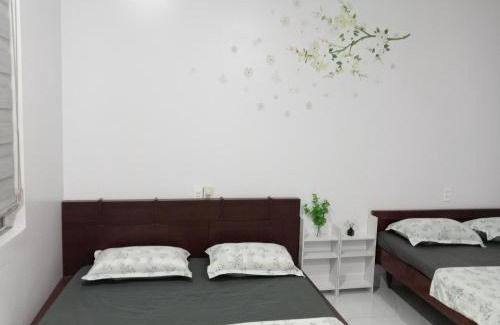 Hue House | Huế Thơ Homestay