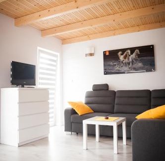 Polanica-Zdroj Apartment | Hubertus