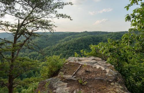 Rogers House | Huckleberry Arch