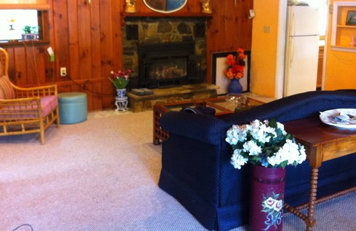 Lake Luzerne-Hadley Cottage | Hudson River Dream cottage 250 ft Waterfront Property
