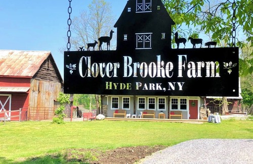 Hyde Park Apartment | Hudson Valley Farm Getaway- West/Llama Lover Lane