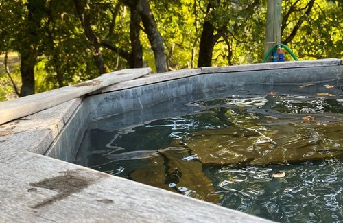 Santa Barbara Cabin | Huequecura explorer