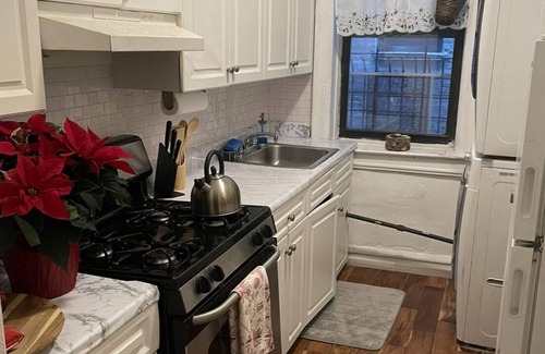 Park Slope Apartment | Huge 2 bedroom apartment next Prospect Park/Barclays center