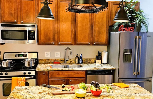 West Town Villa | HUGE! 3BR Private Home+Garage+360° Roof Deck+Hot Tub+EV+Sleeps 12