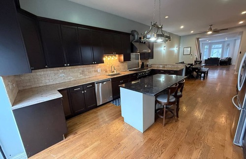 Bronzeville House | Huge Limestone SFH/McCormick
