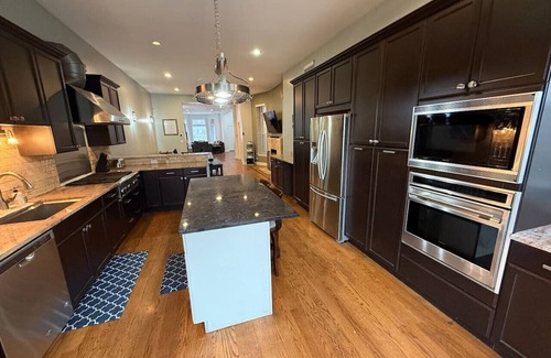 Bronzeville House | Huge Limestone SFH/McCormick