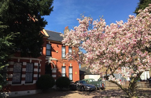 Catford Apartment | Huge loft apartment perfect for a visit to London, with parking and garden