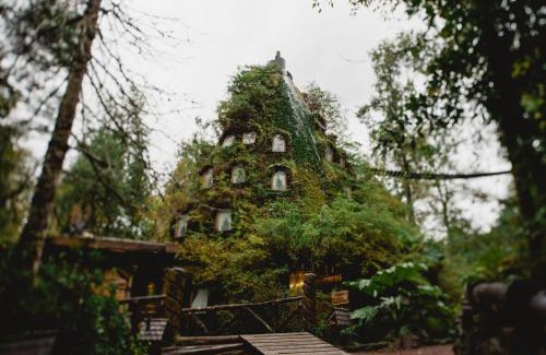 Neltume Cabin | Huilo Huilo Montaña Mágica