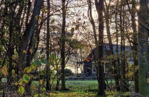 Dreischor House | Huize Dijkwater