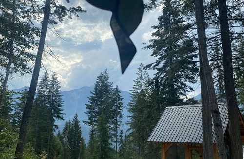 Golden Cabin | Hummingbird Haven Charming Cabin in the Mountains