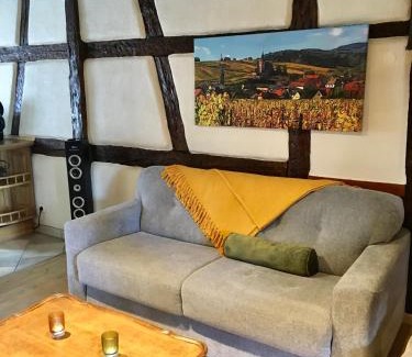 Hunawihr Apartment | Huna’gîte