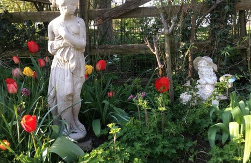 Hungarton Bed & Breakfast | Hungarton Bed & Breakfast
