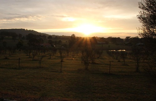 Lovedale House | Hunter Homestead , Lovedale