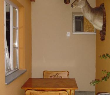 Sturovo House | Hunter