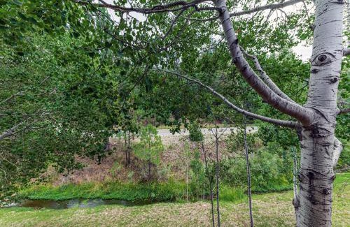 Ruidoso Apartment | Hunters Lodge