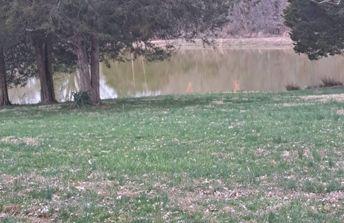 Wolf Creek Other | Hunters Paradise. in the heart of deer country.