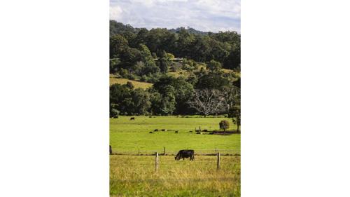 Huntingdon House | Huntingdon House by Tiny Away