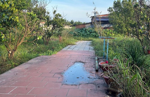 Hiep Ninh Cabin | Huong Sen Garden Lodge