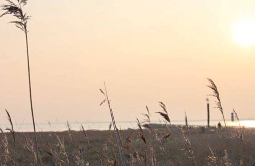 Schobull Apartment | HUS326 Carpe Diem - Carpe Diem