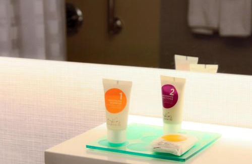 Hyde Park Hotel | Hyatt Place Chicago-South/University Medical Center