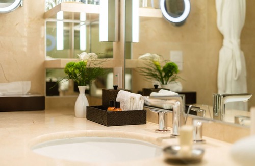 Polanco Hotel | Hyatt Regency Mexico City