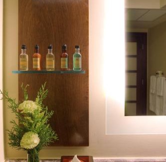 Campo Alegre Hotel | Hyatt Regency Panama City