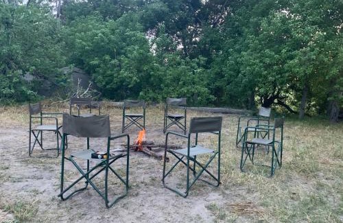 Chobe District Other | Hyenas howl campsite