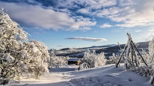 Al Municipality Ski Chalet | Hytta Idyll