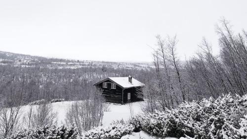 Al Municipality Ski Chalet | Hytta Idyll